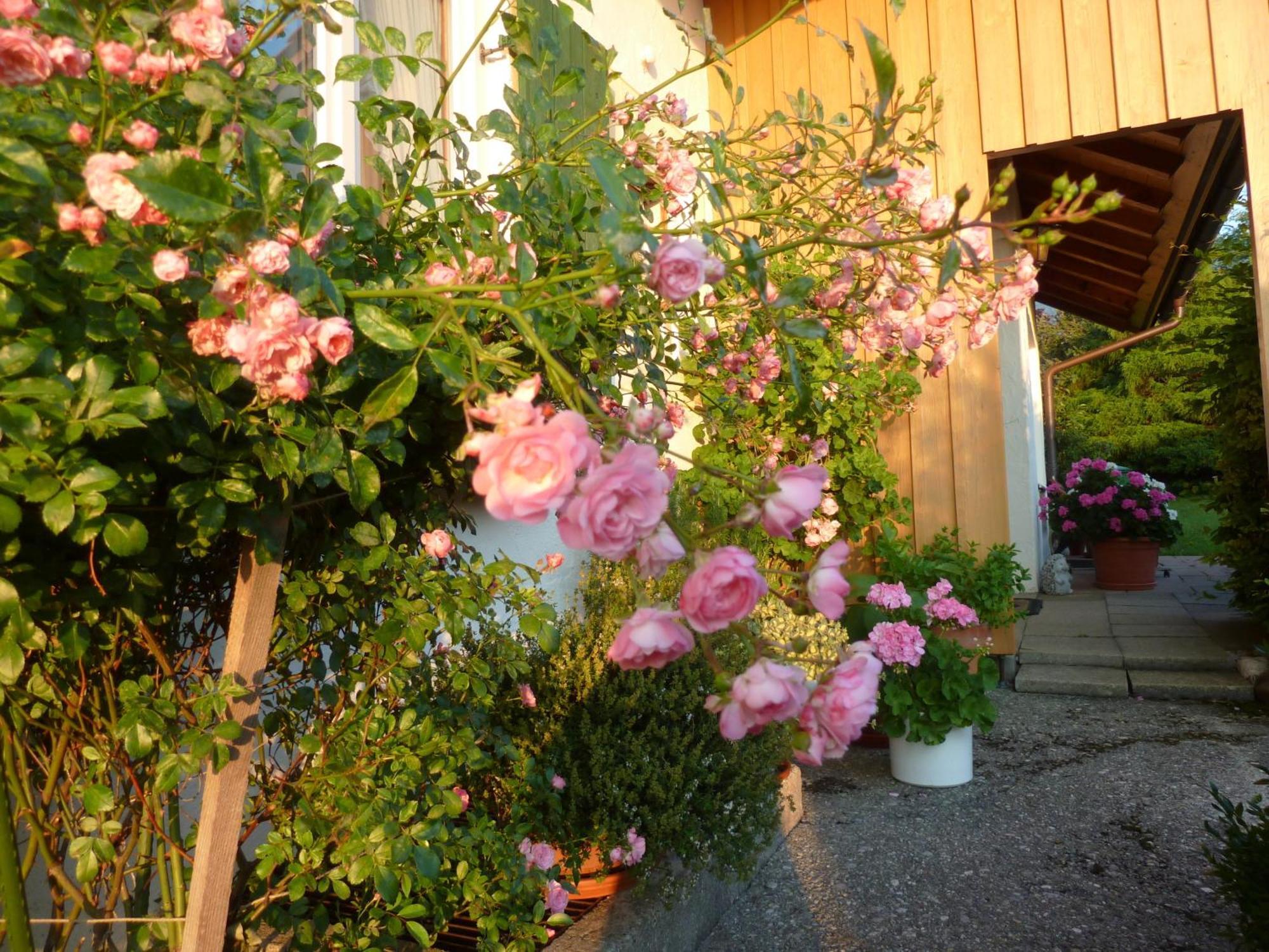 Ferienwohnung Hoernle บัดโคลกรุบ ภายนอก รูปภาพ